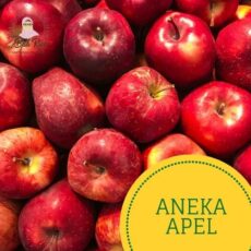 jual-aneka-buah-apel