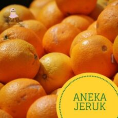 jual-aneka-buah-jeruk-bekasi