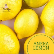 jual-aneka-lemon-bekasi