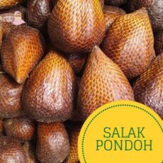 jual-salak-pondoh-bekasi-dapur-buk-rien