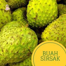 jual-sirsak-bekasi